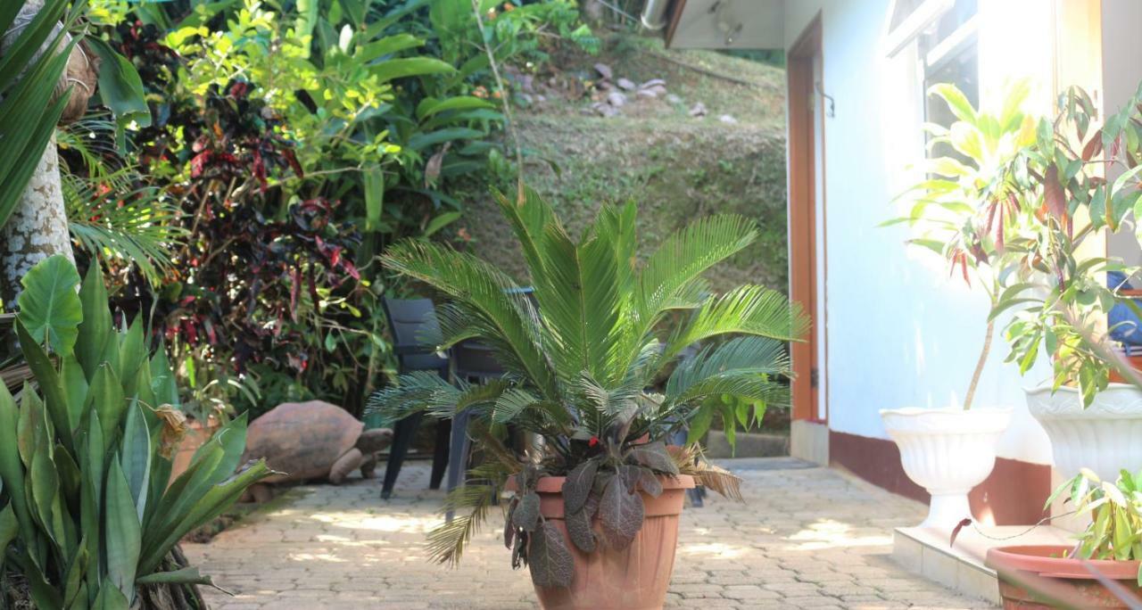 Apartamento Garden Hut Victoria Exterior foto